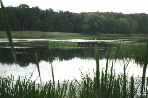 Ferienwohnungen Kuchelmi� See 6922