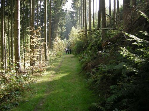 Hostal Gasthaus-pension Islekh�he Gansen