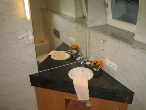Gasthof Hotel Zum Wasserfall