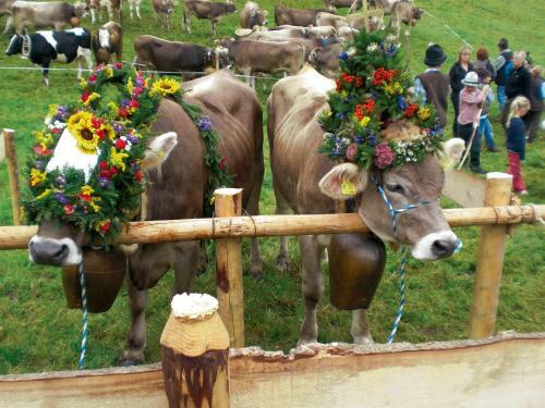 Posada Seehotel Und Appartements Schn�ller