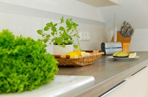 Apartamento Ahlbecker H�he - Fischerweg