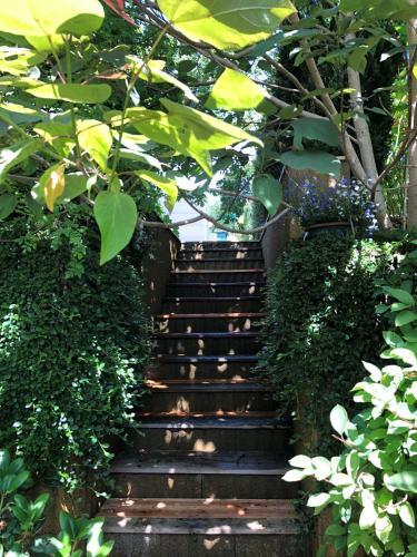 Apartamento Ferienwohnung Altenberg 02