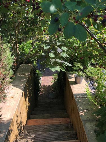 Apartamento Ferienwohnung Altenberg 02