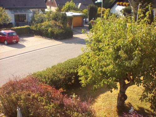 Apartamento Ferienwohnung Am Geiersberg