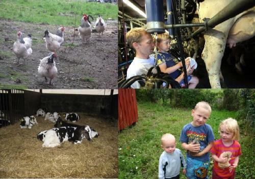 Agroturismo Hveddegaard Farm Holiday
