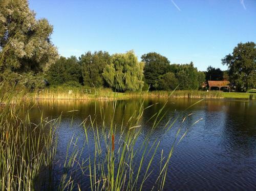 Bed & Breakfast La Chouette �toil�e