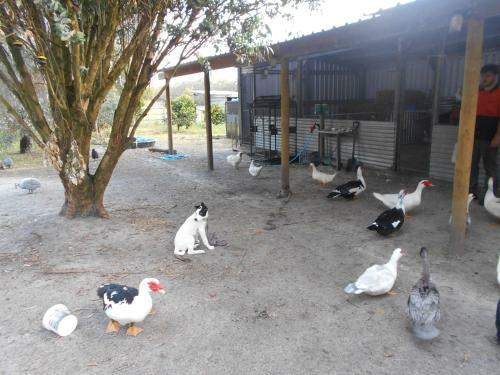 Agroturismo Kerriley Park Farmstay