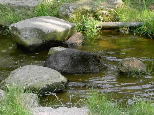 Apartamento Ferienwohnung Brunner - Haus Am See