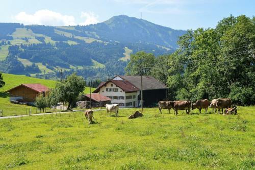 Apartamento Ferienwohnung Loch - [#96293]