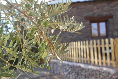 Apartamento Dreams Alpujarra