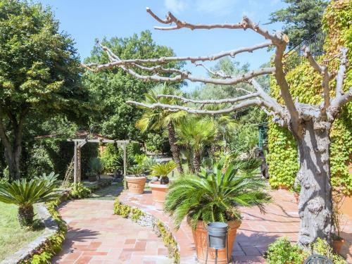 Sprawling Mansion In Frejus With Swimming Pool