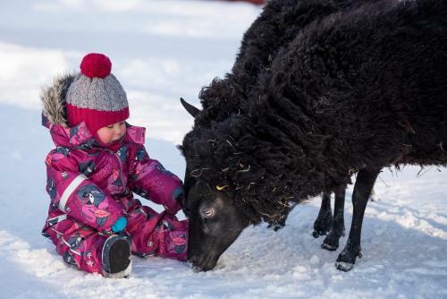 Agroturismo Maatilamatkailu Ilom�ki