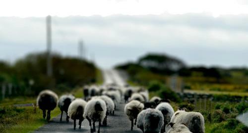 Slievemore Holiday Homes