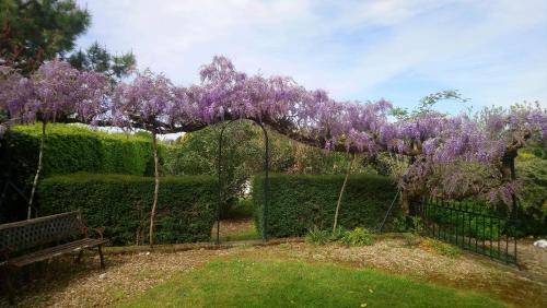 Bed & Breakfast Chambres D'h�tes Du Domaine De Lansac