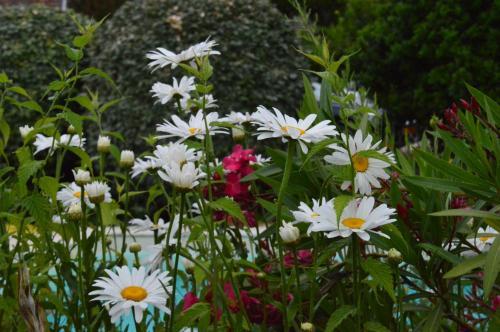 Bed & Breakfast Chambres D'h�tes Du Domaine De Lansac