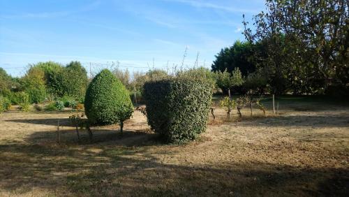 Bed & Breakfast Chambres D'h�tes Du Domaine De Lansac