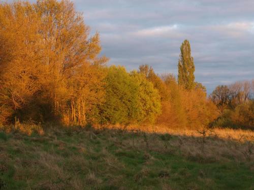 Bed & Breakfast Chambres D'h�tes De La Chevalerie