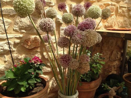 Hostal Domaine Saint Martin