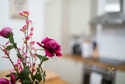 Queens Ajy Birmingham City Centre Apartment