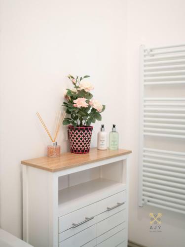 Queens Ajy Birmingham City Centre Apartment