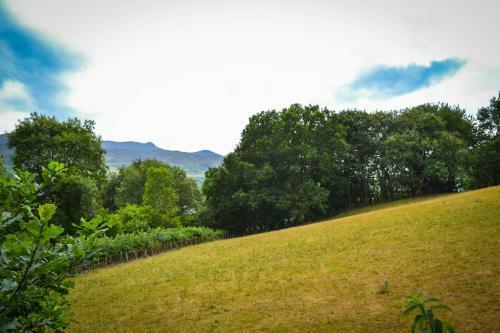 Bed & Breakfast Moel View