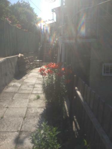 Hostal Gorgadze Apartment