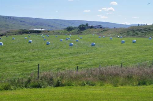 Agroturismo Sireksstadir Farm Holiday