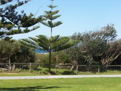 Werri Beach Holiday Park