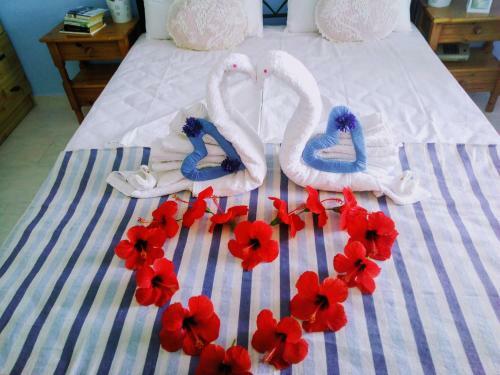 Apartamento Paradisso Studios
