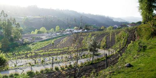 Agroturismo Quinta Da Longra
