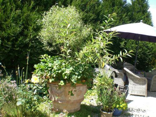 Apartamento G�stewohnung Bed And Breakfast Hering In Dill