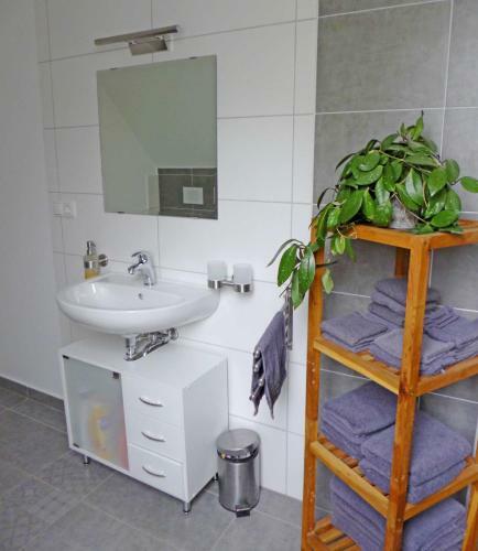 Apartamento Ferienwohnungen In Lipsitz Auf Rue