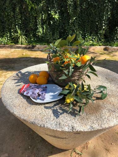 Agroturismo Finca El Bramadero