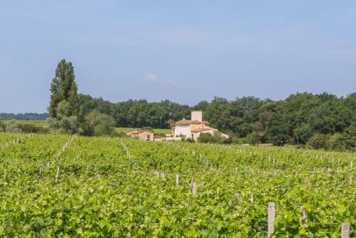 Agroturismo Blesignac Chateau Sleeps 12 Pool Wifi