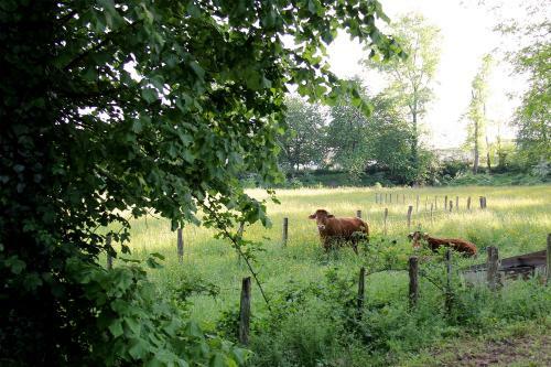Bed & Breakfast Le Relais Du Doubs En Bourgogne