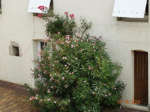Bed & Breakfast Au Relais Des Songes