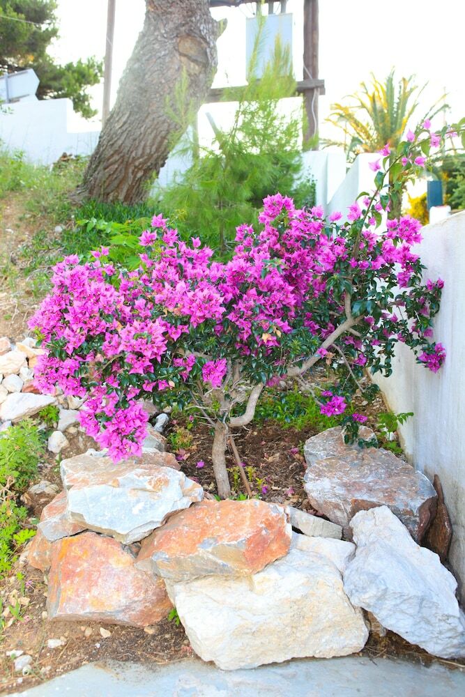 Stafylos Suites & Boutique Hotel