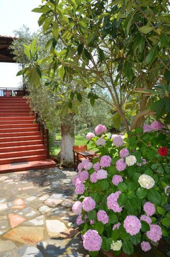 Hotel Maria