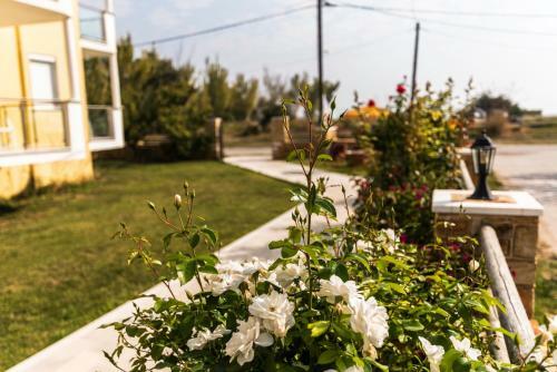 Apartamento Studios Afrodite