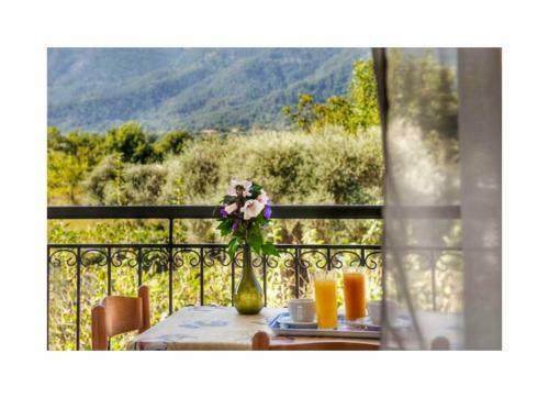 Aparthotel Aneton