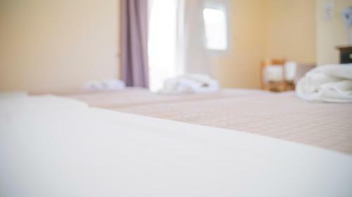 Aparthotel Aneton