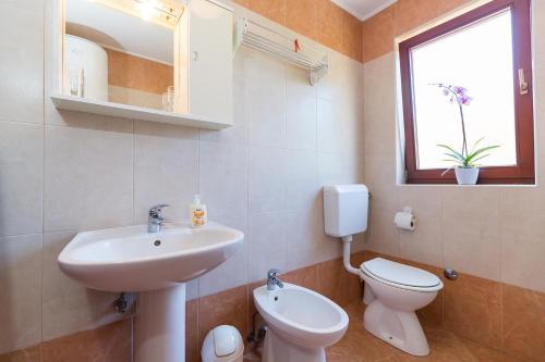Apartments With A Swimming Pool Novigrad - 7078
