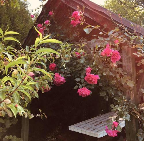 Hostal Kerti Vend�gh�z