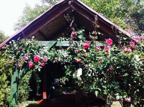 Hostal Kerti Vend�gh�z