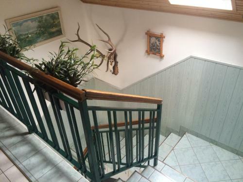 Hostal Horg�sz-vad�sz Vend�gh�z