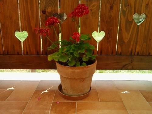 Hostal Levendula Porta �s Pajtasz�nh�z