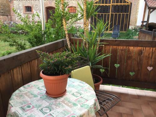 Hostal Levendula Porta �s Pajtasz�nh�z