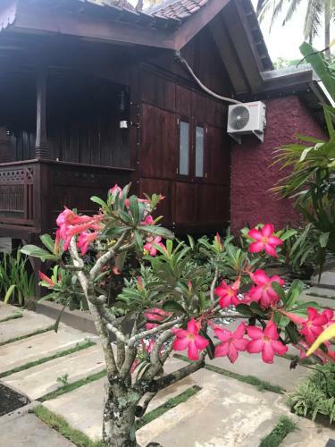 Villa The Wisma