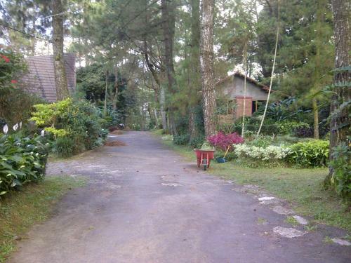Hotel Lembah Safari Cisarua
