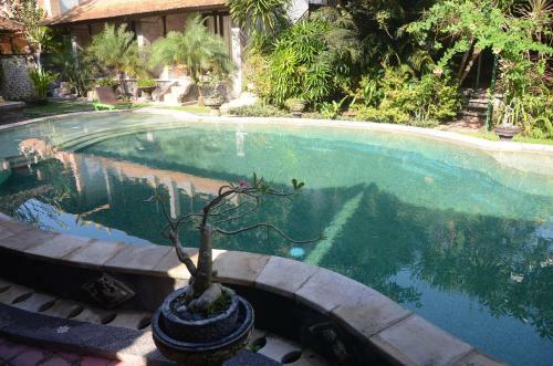 Padangbai Beach Homestay